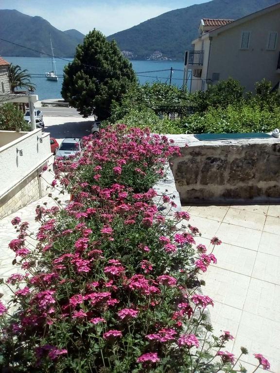 Apartmani Villa Radovic Risan Buitenkant foto