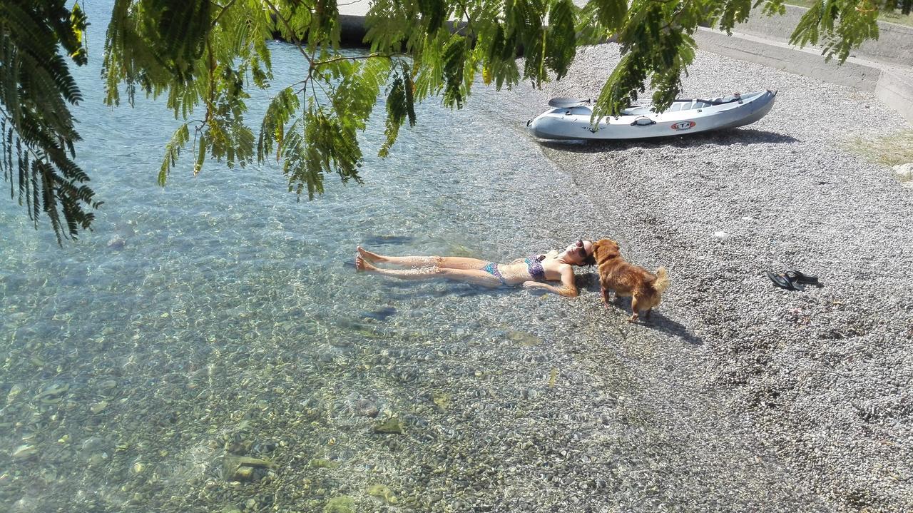 Apartmani Villa Radovic Risan Buitenkant foto