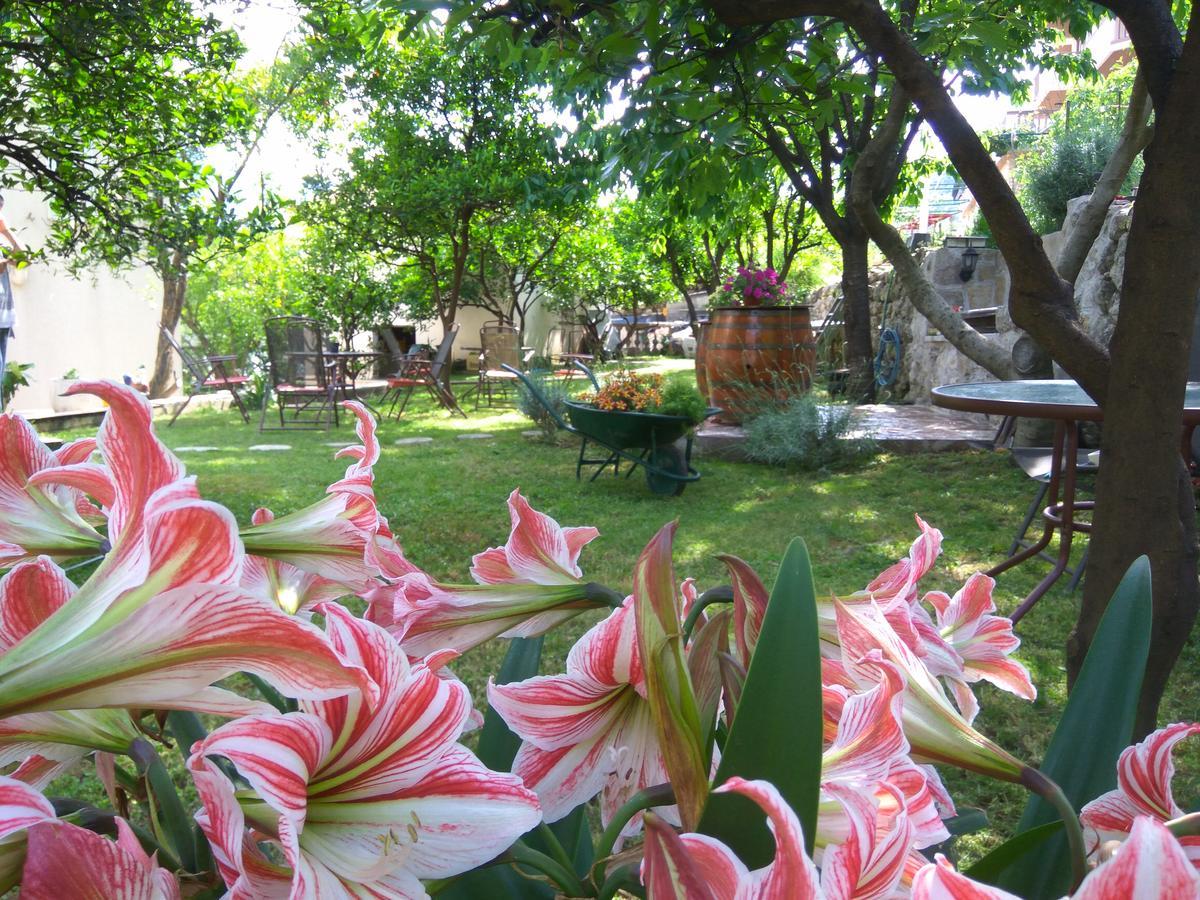 Apartmani Villa Radovic Risan Buitenkant foto